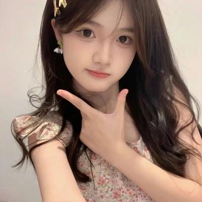 美国豚鼠3：所罗门之歌